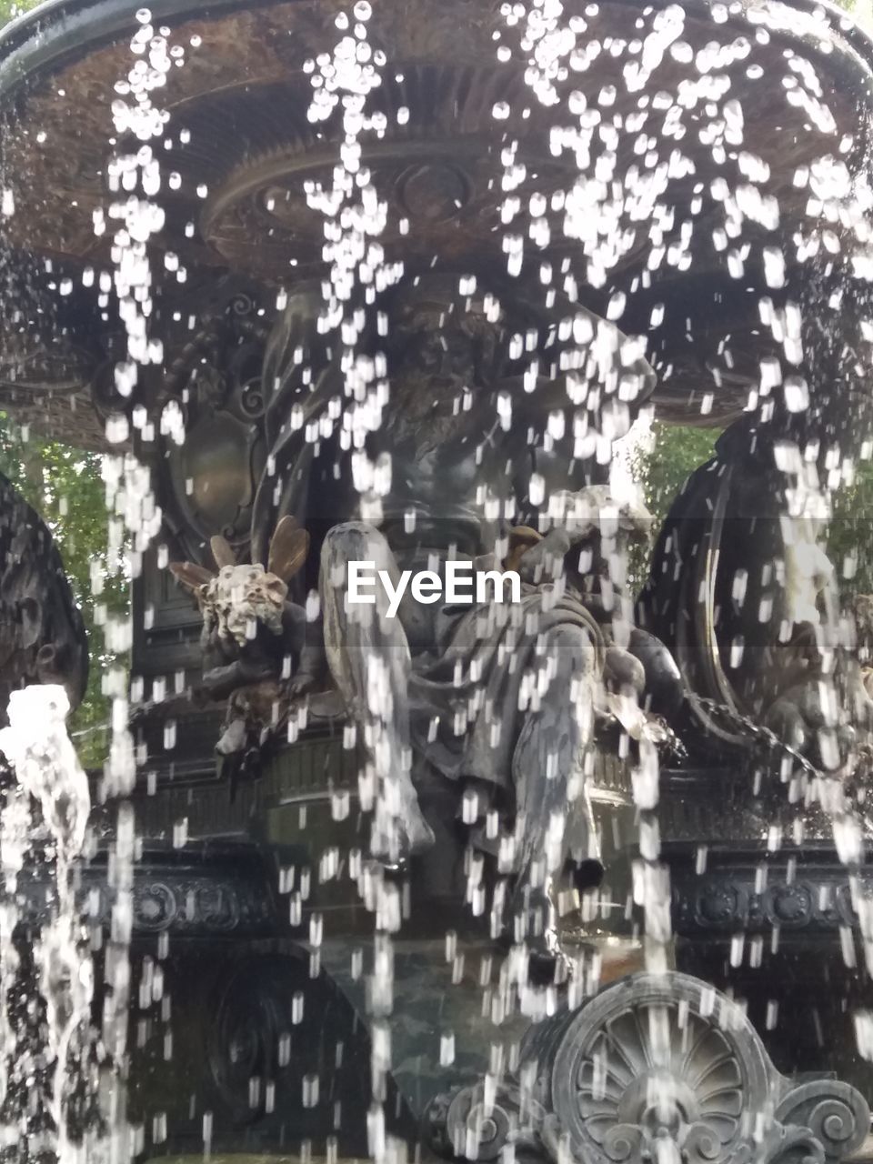 CLOSE-UP OF WATER WITH TREES