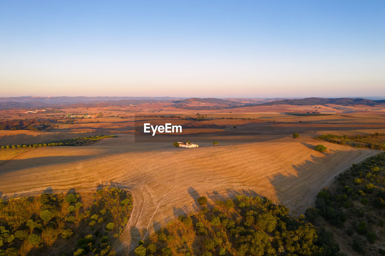 Alentejo brown landscape with trees drone aerial panorama at sunrise, in portugal