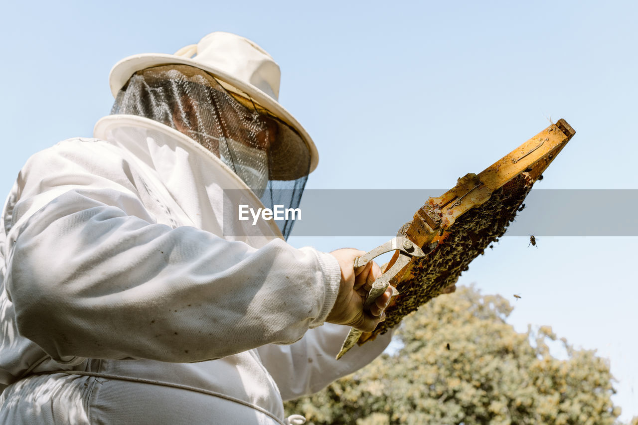 Low angle of unrecognizable beekeeper in protective costume examining honeycomb with bees while working in apiary in sunny summer day