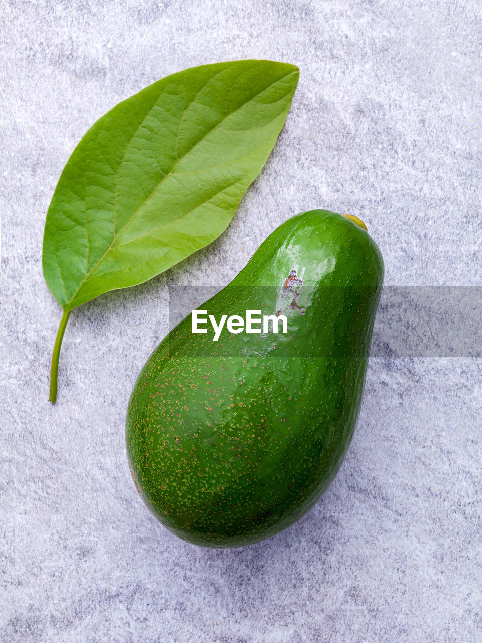 HIGH ANGLE VIEW OF FRESH GREEN LEAF