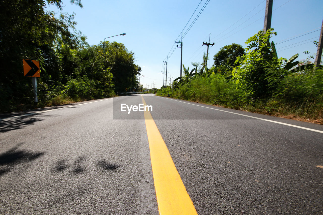 SURFACE LEVEL OF ROAD BY TREES