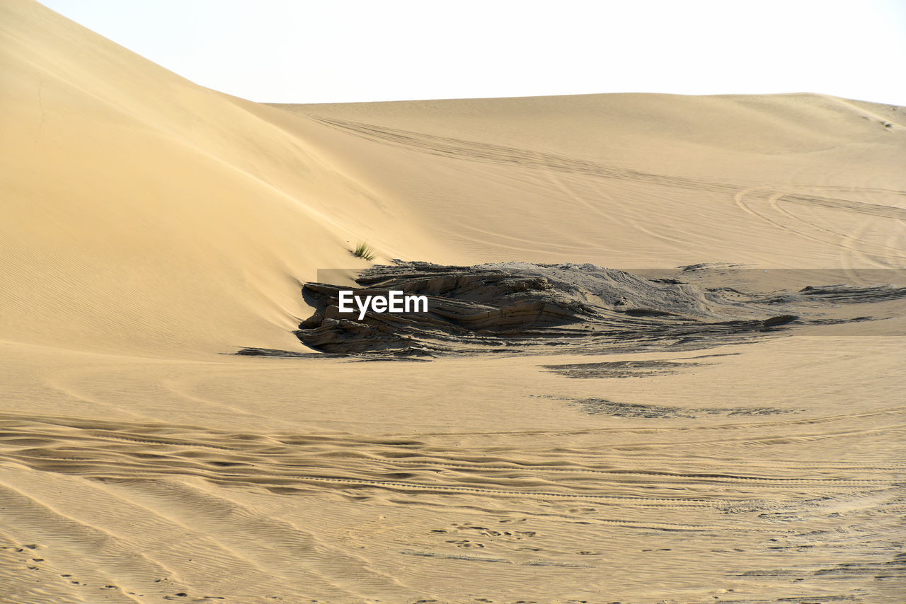 Around nazwa and pink rock desert, viewing of the sand and plant in the desert, sharjah, uae