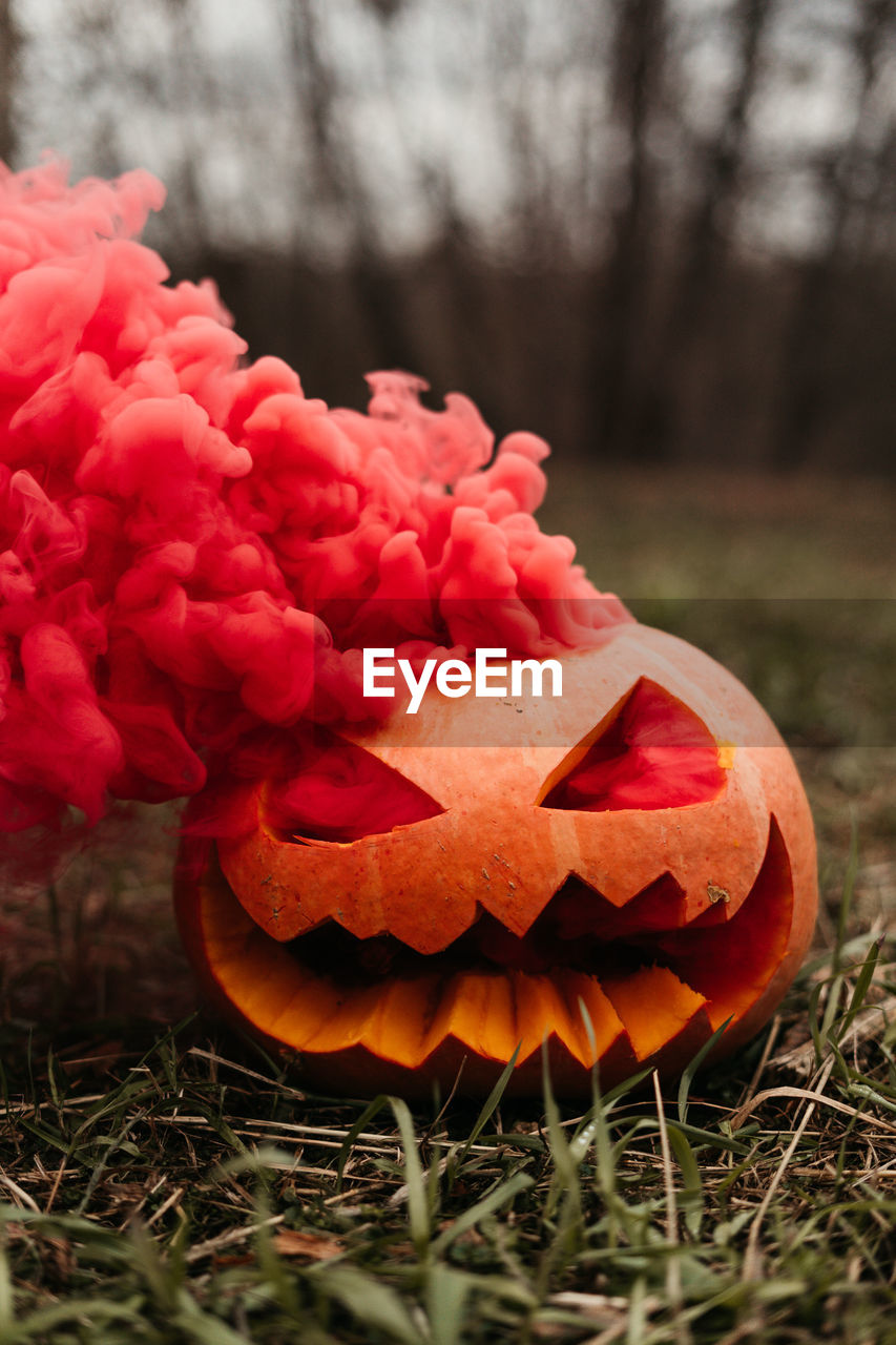 Close-up of red smoke emitting from jack o lantern on grassy land