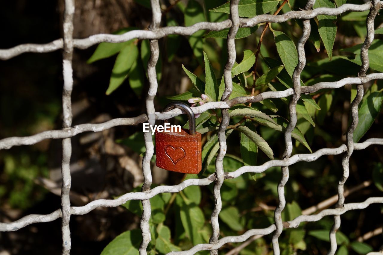 Close-up of heart shape hanging on fence 