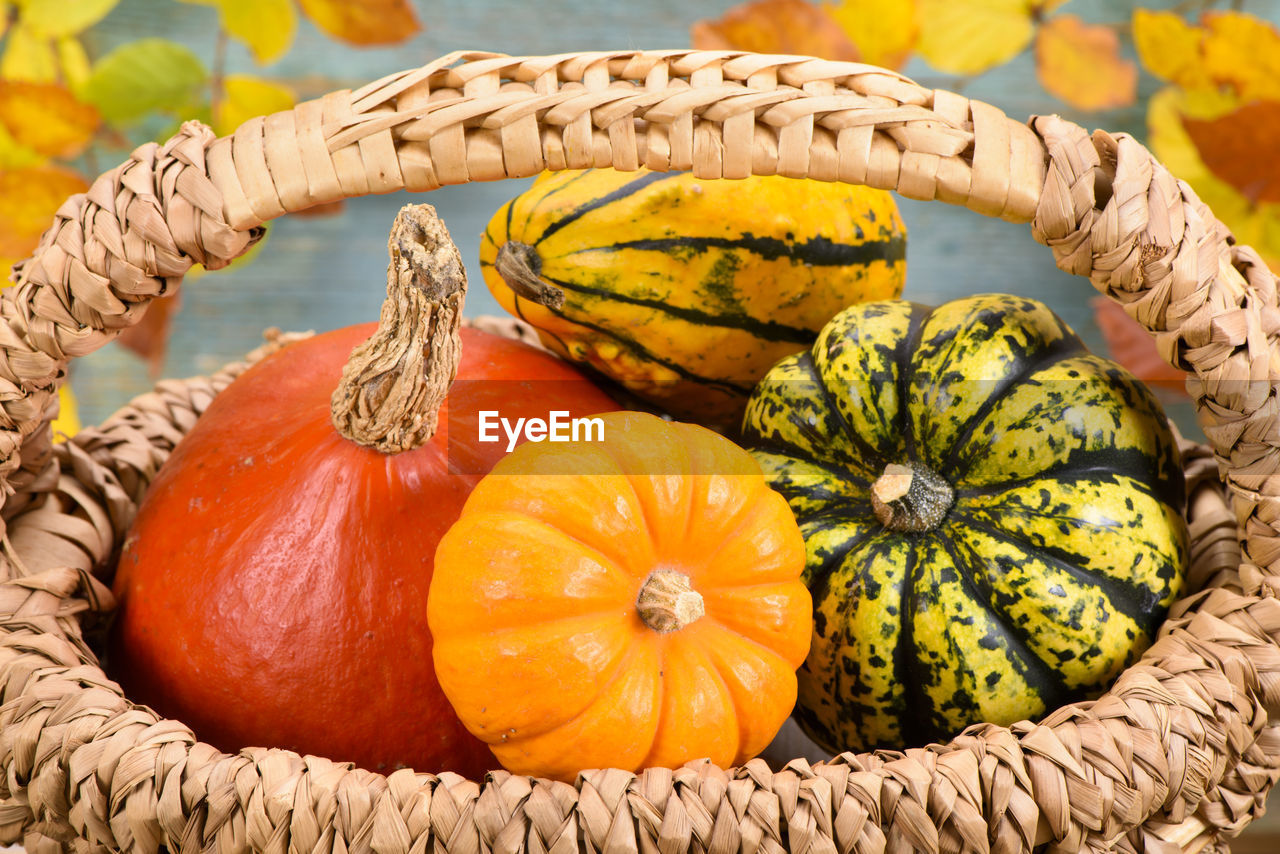 Autumn decoration with pumpkin and leaves