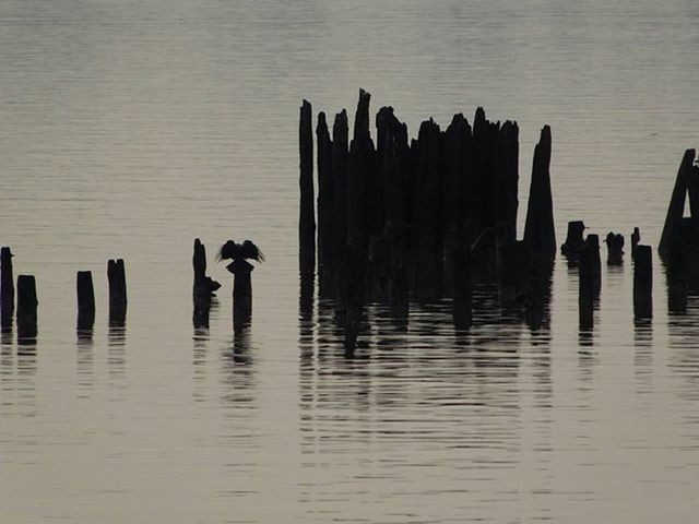 REFLECTION OF WOMAN IN WATER