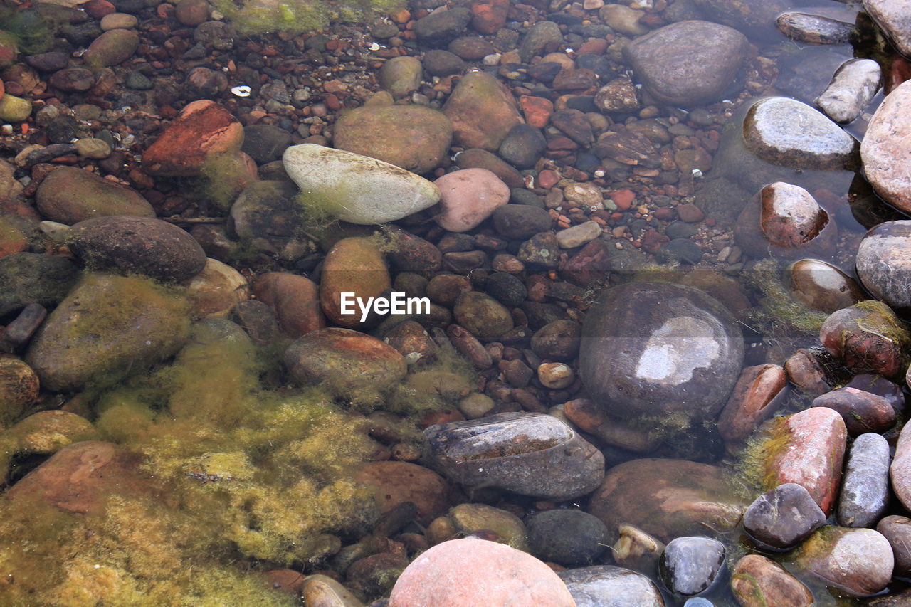 PEBBLES ON SHORE