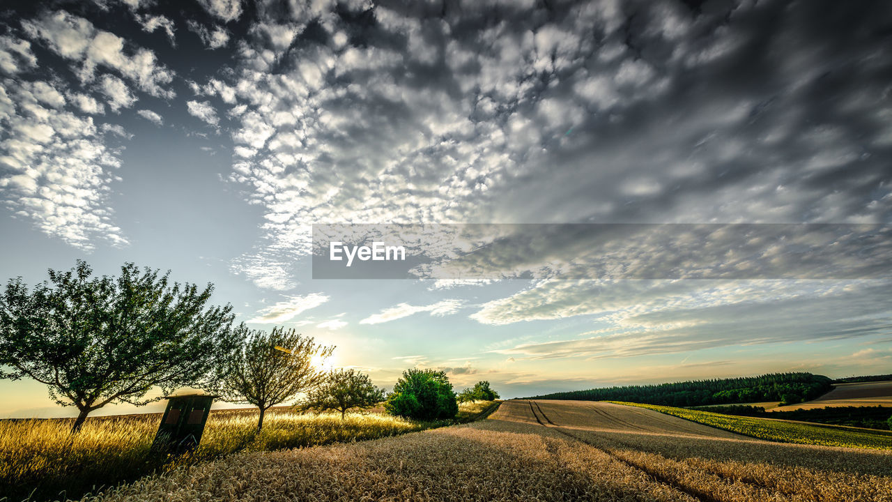 ROAD AMIDST FIELD AGAINST SKY DURING SUNSET