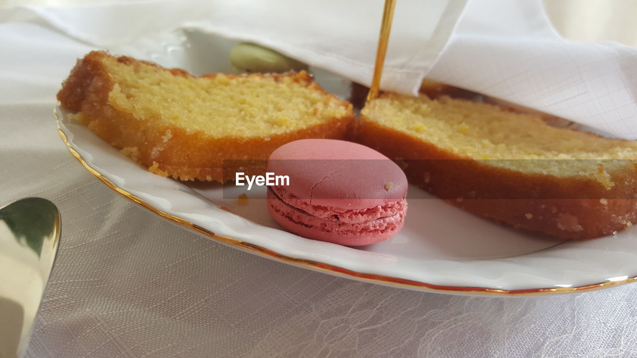 CLOSE-UP OF DESSERT IN PLATE