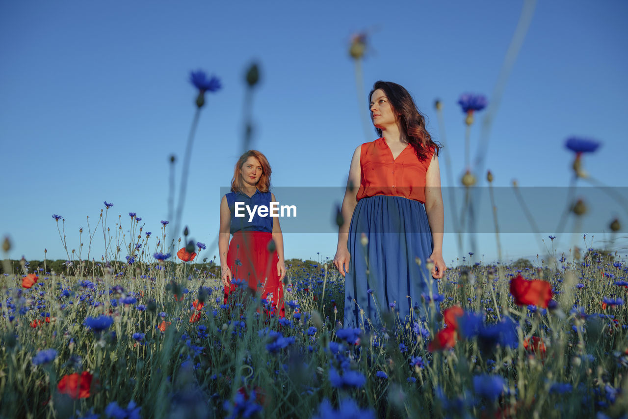 Beautiful women standing in poppy field against clear blue sky