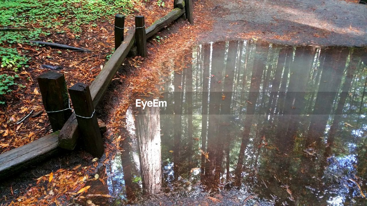 CLOSE-UP OF RUSTY METAL IN FOREST