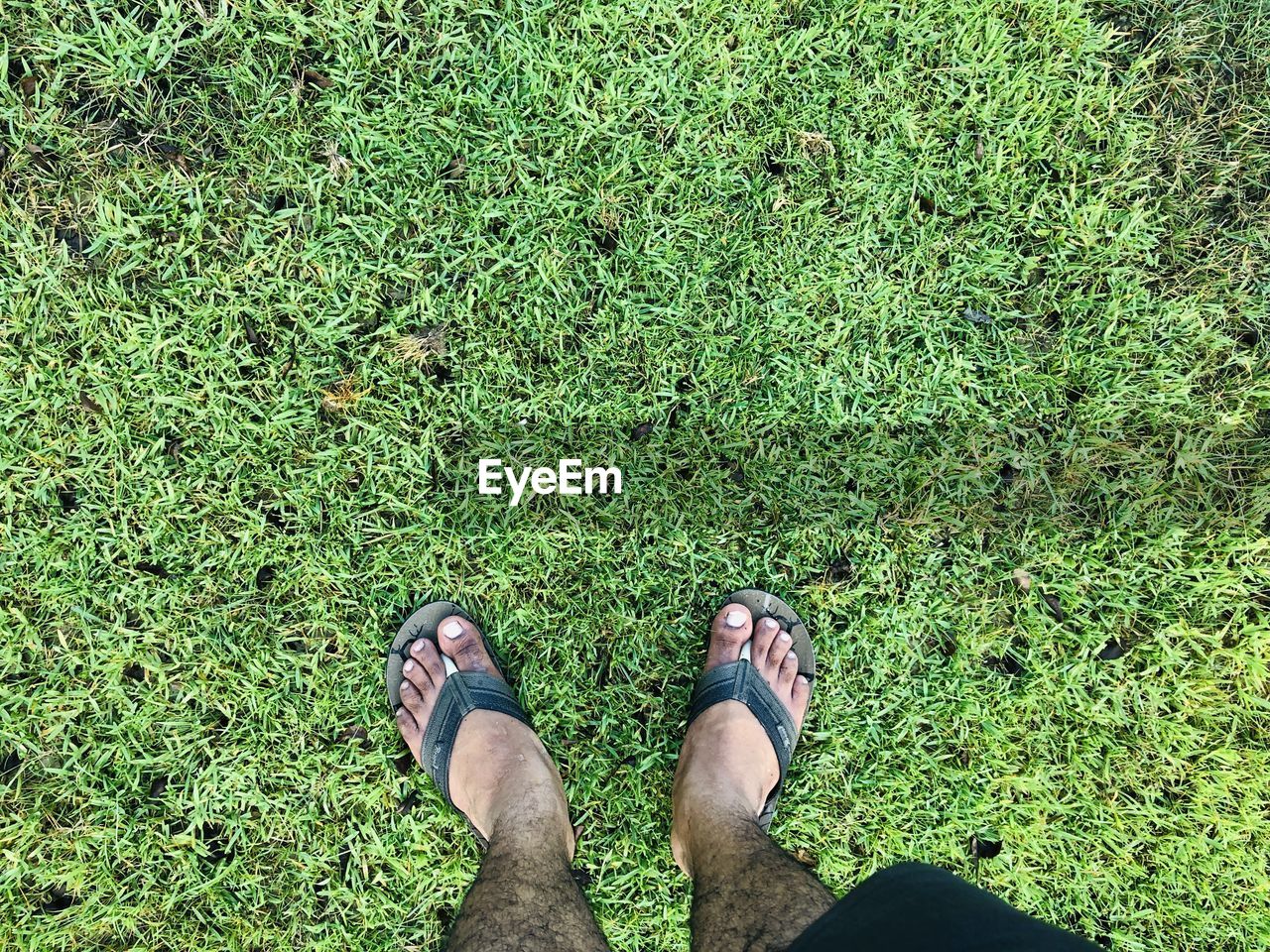 LOW SECTION OF MAN STANDING ON LAND