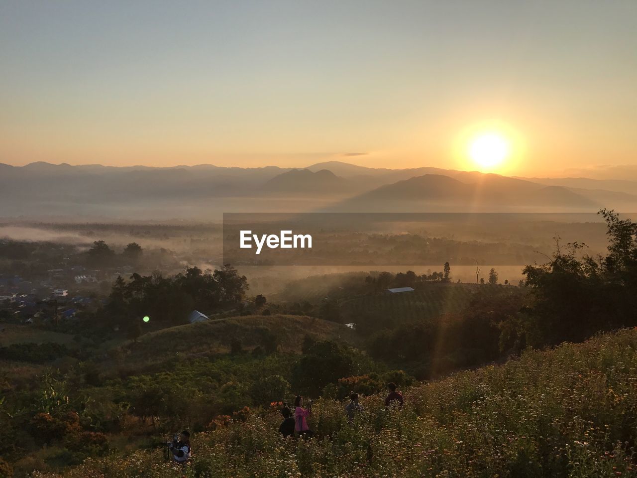 Scenic view of agricultural field against sky during sunset