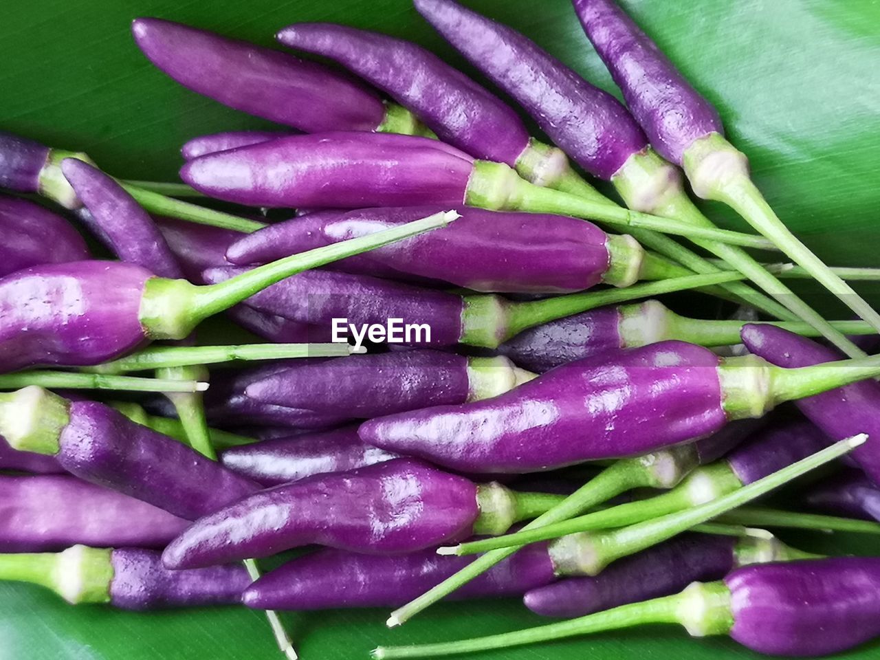 FULL FRAME SHOT OF PURPLE BEANS