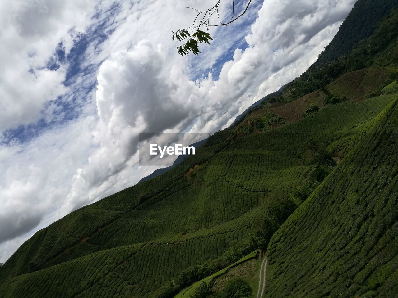 PANORAMIC VIEW OF LANDSCAPE AGAINST SKY