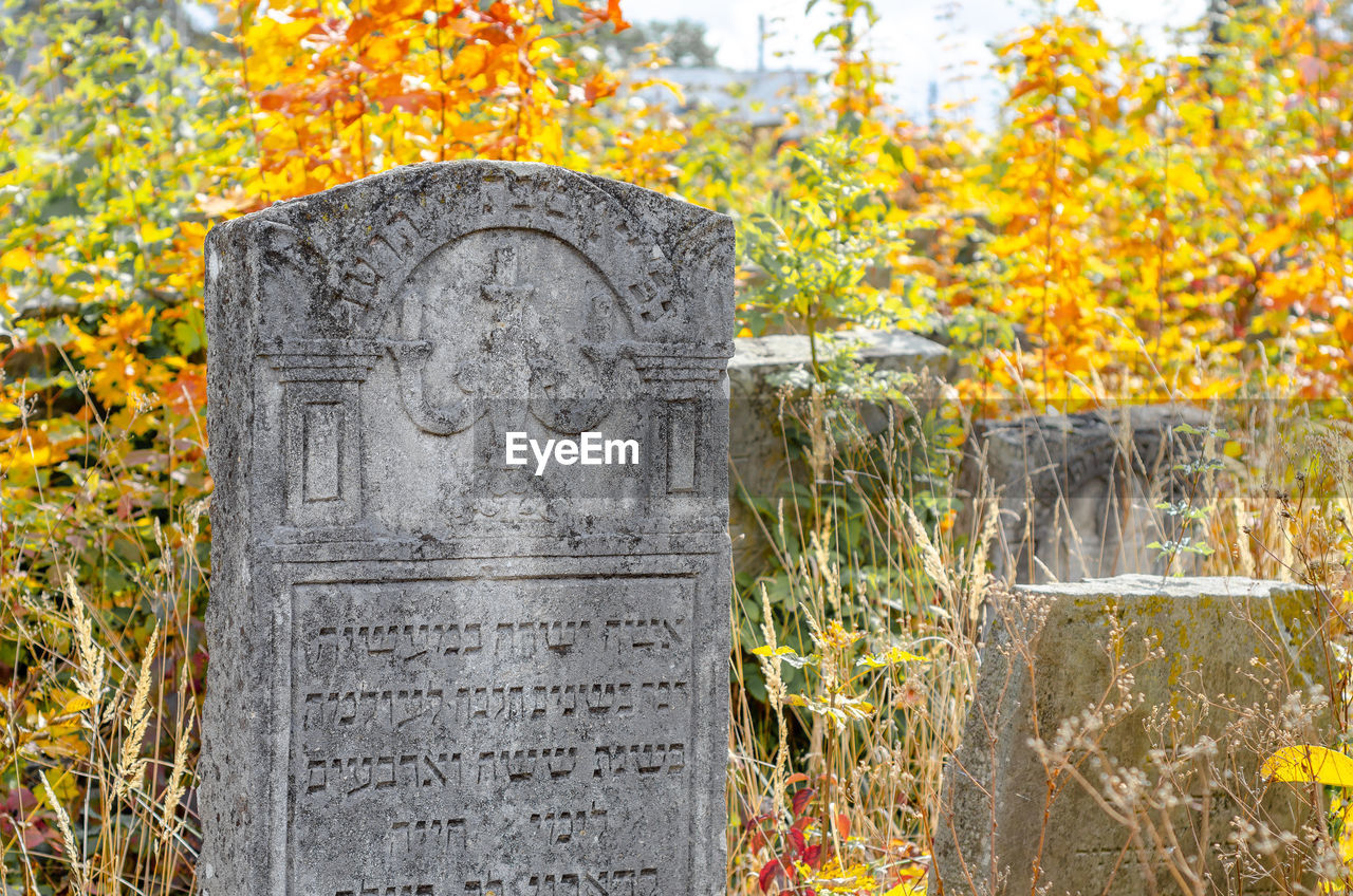 VIEW OF STONE SCULPTURE IN CEMETERY