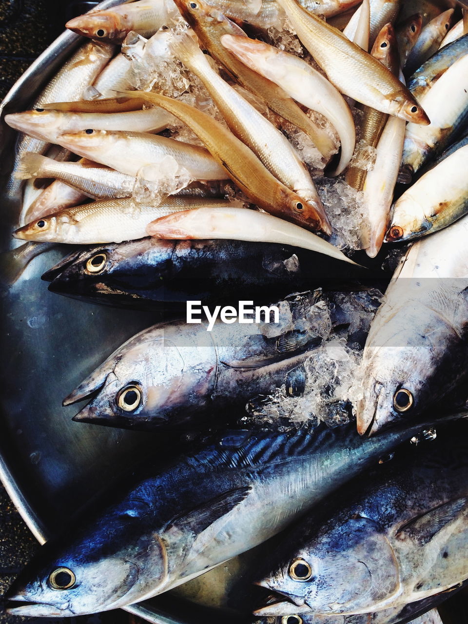 full frame shot of fish for sale at market