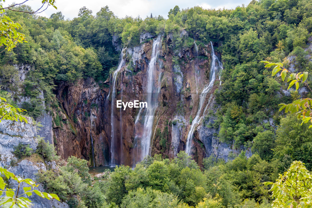 WATERFALL IN FOREST