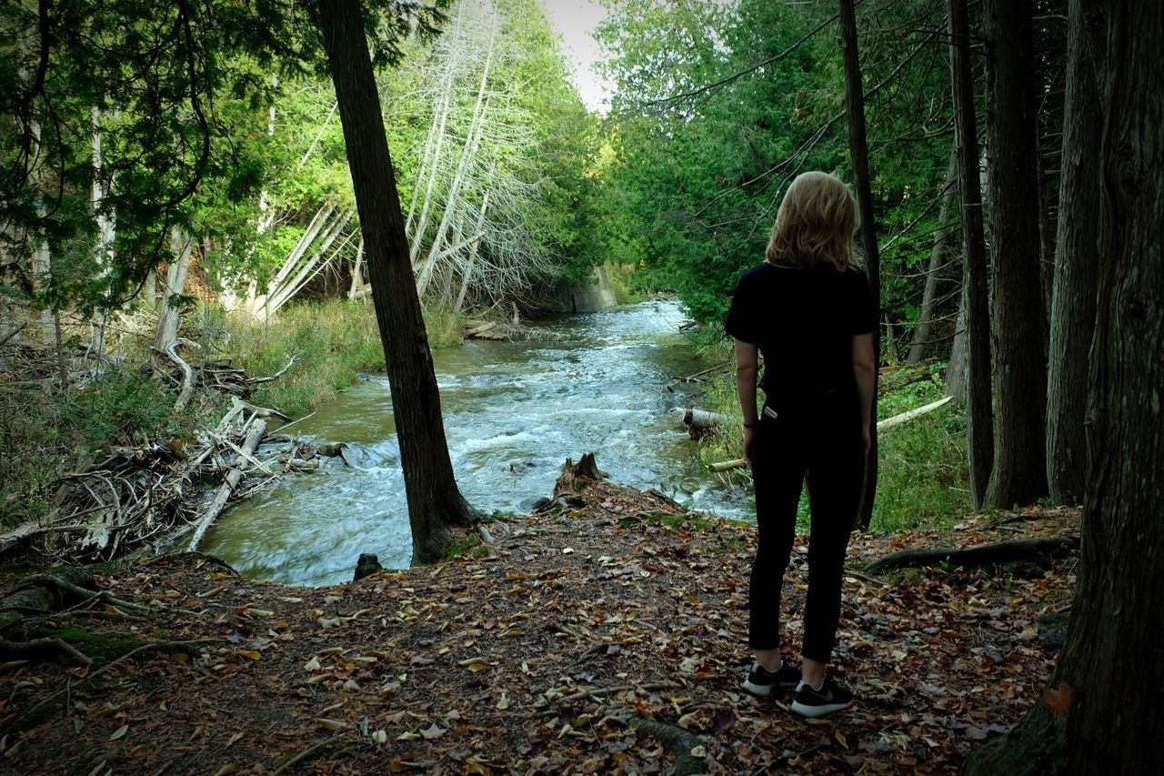 Rear view of woman standing in forest