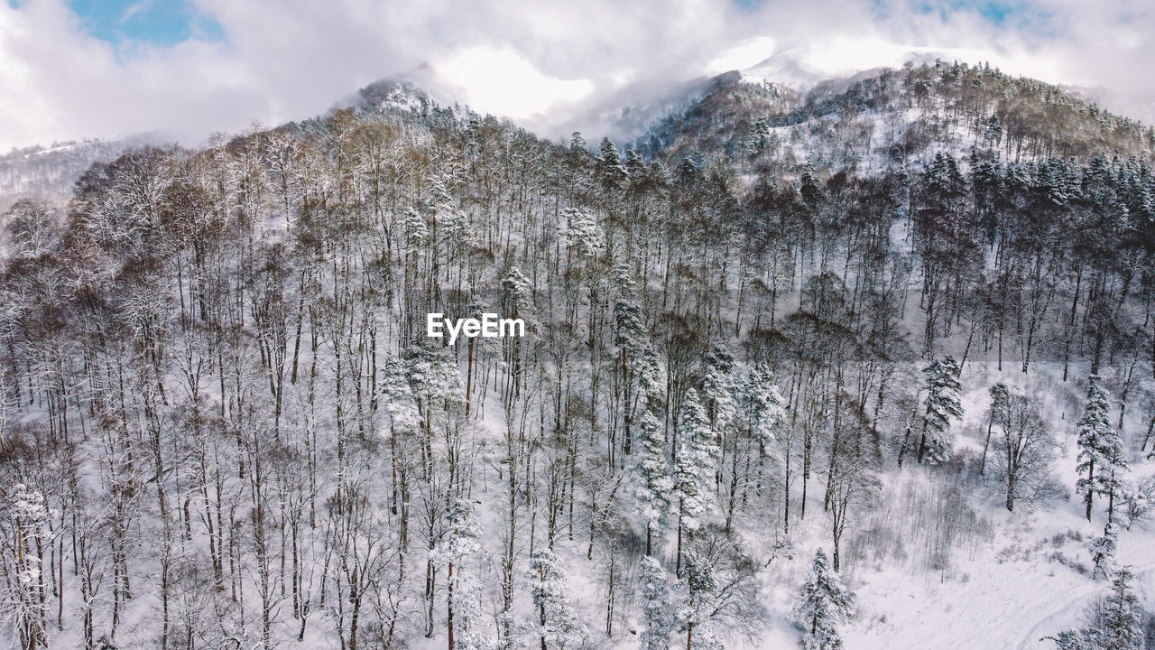 LOW ANGLE VIEW OF SNOW COVERED MOUNTAIN AGAINST SKY