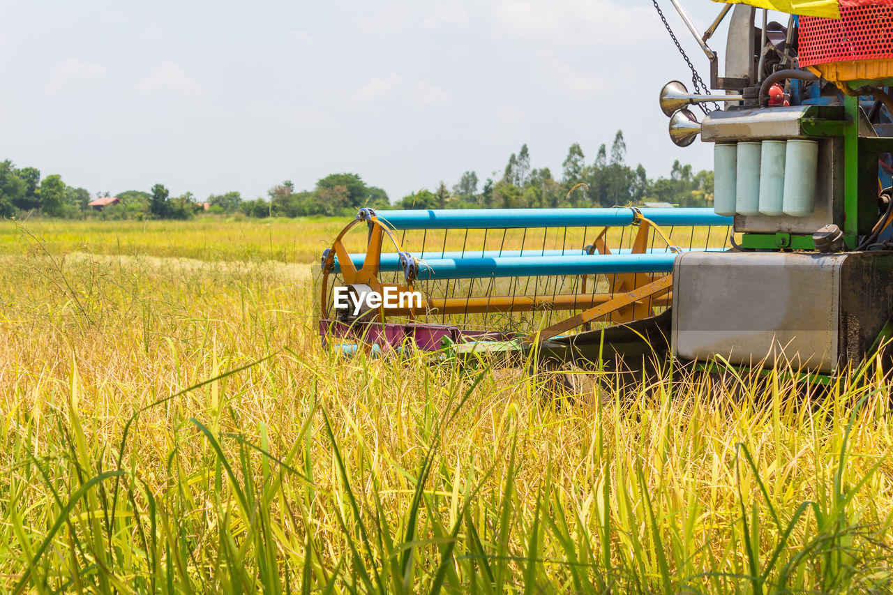 TRACTOR ON AGRICULTURAL FIELD