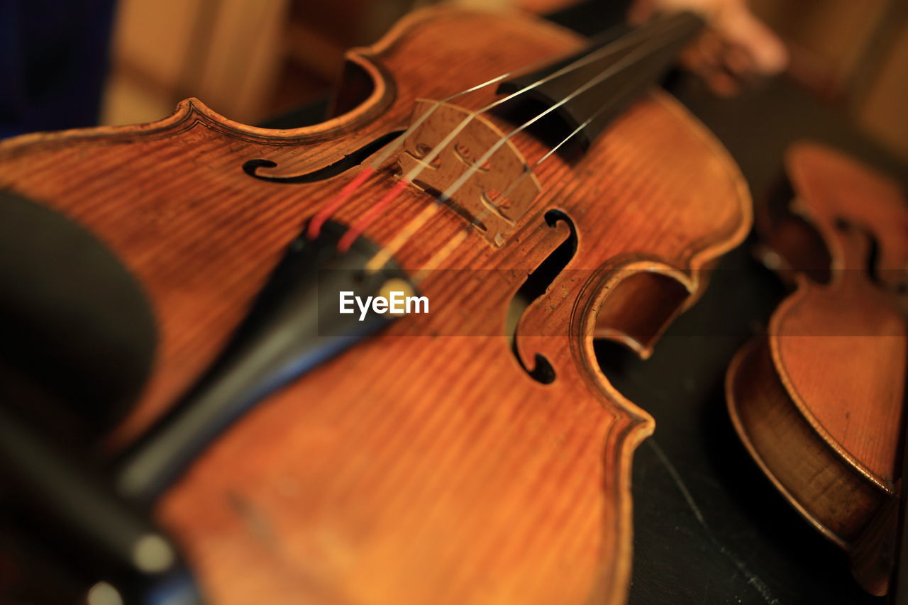 Close-up of violin