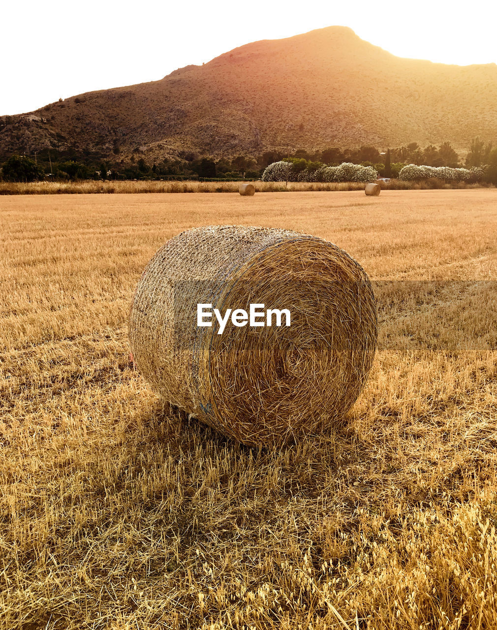 Hay bales on field against sky