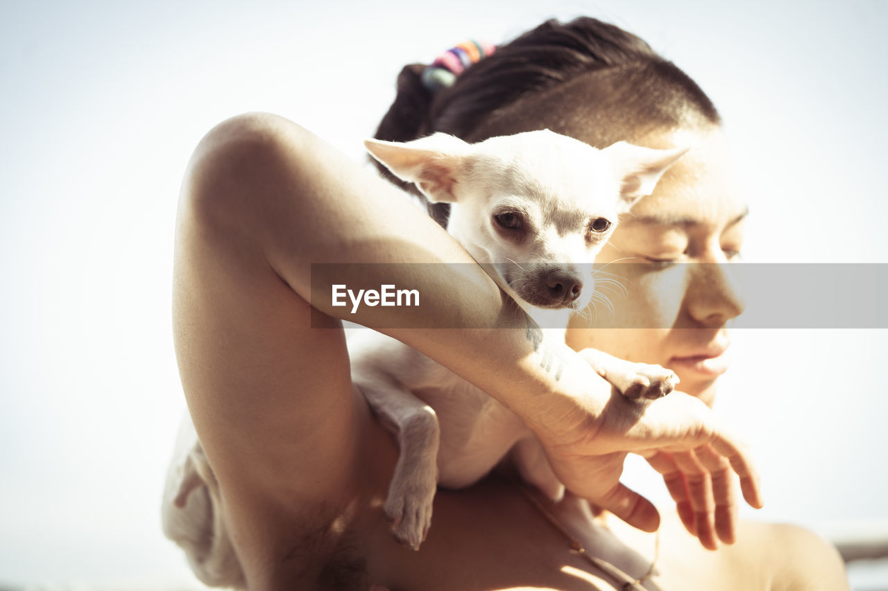 Tiny cute dog perches on mums shoulder bathed in warm sunlight