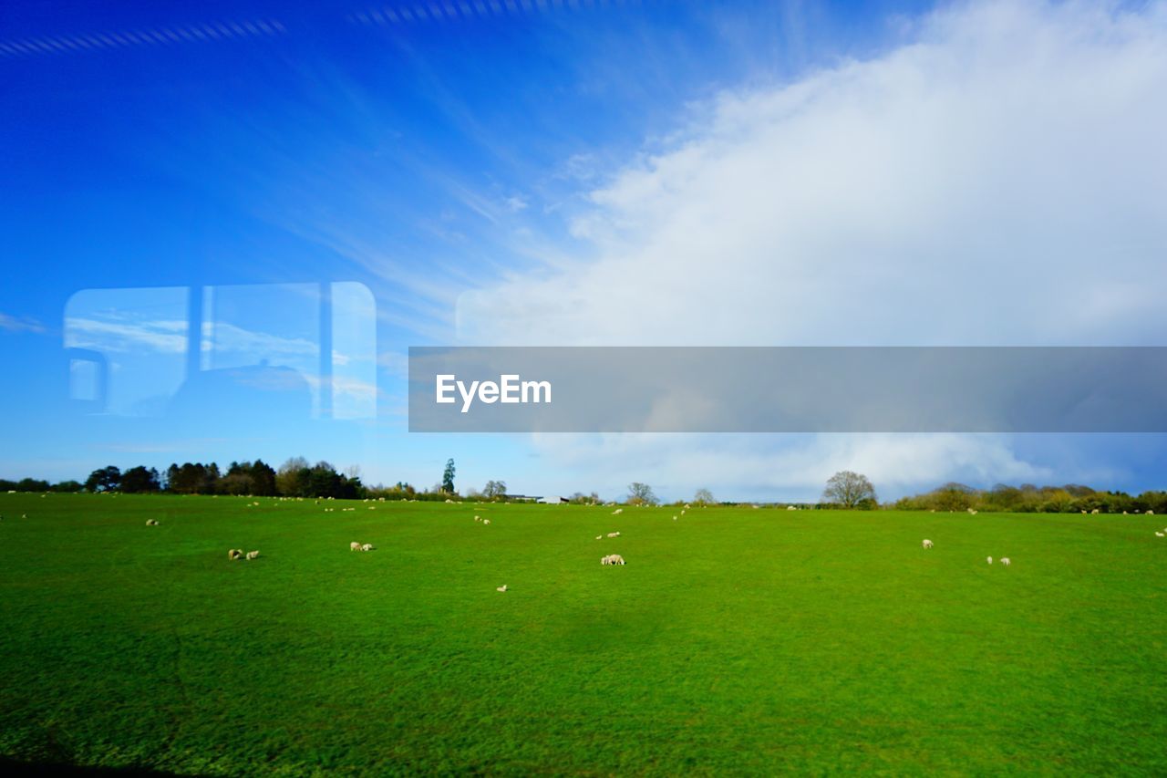 SCENIC VIEW OF FARM AGAINST SKY