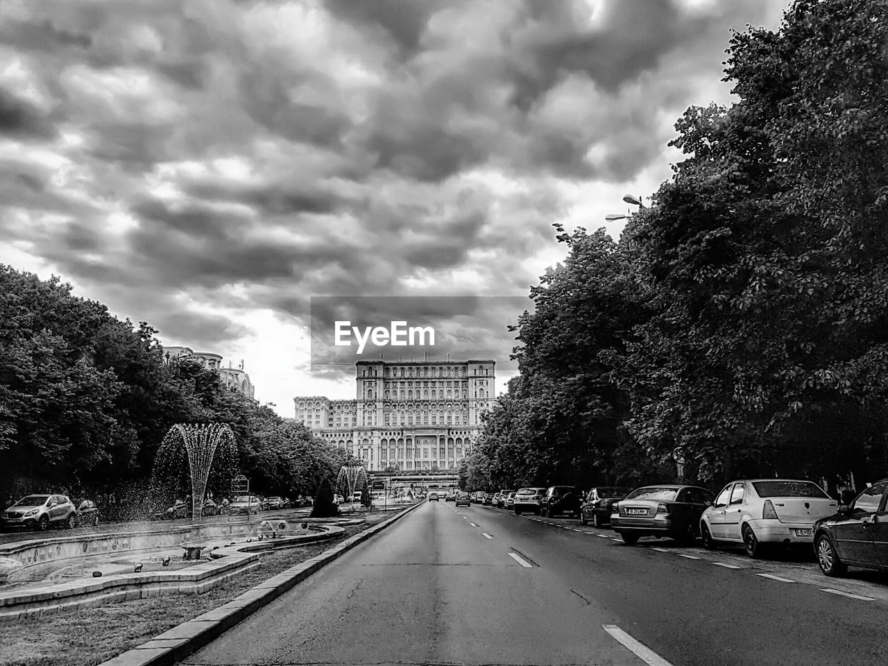 CARS ON ROAD BY TREES AGAINST SKY IN CITY