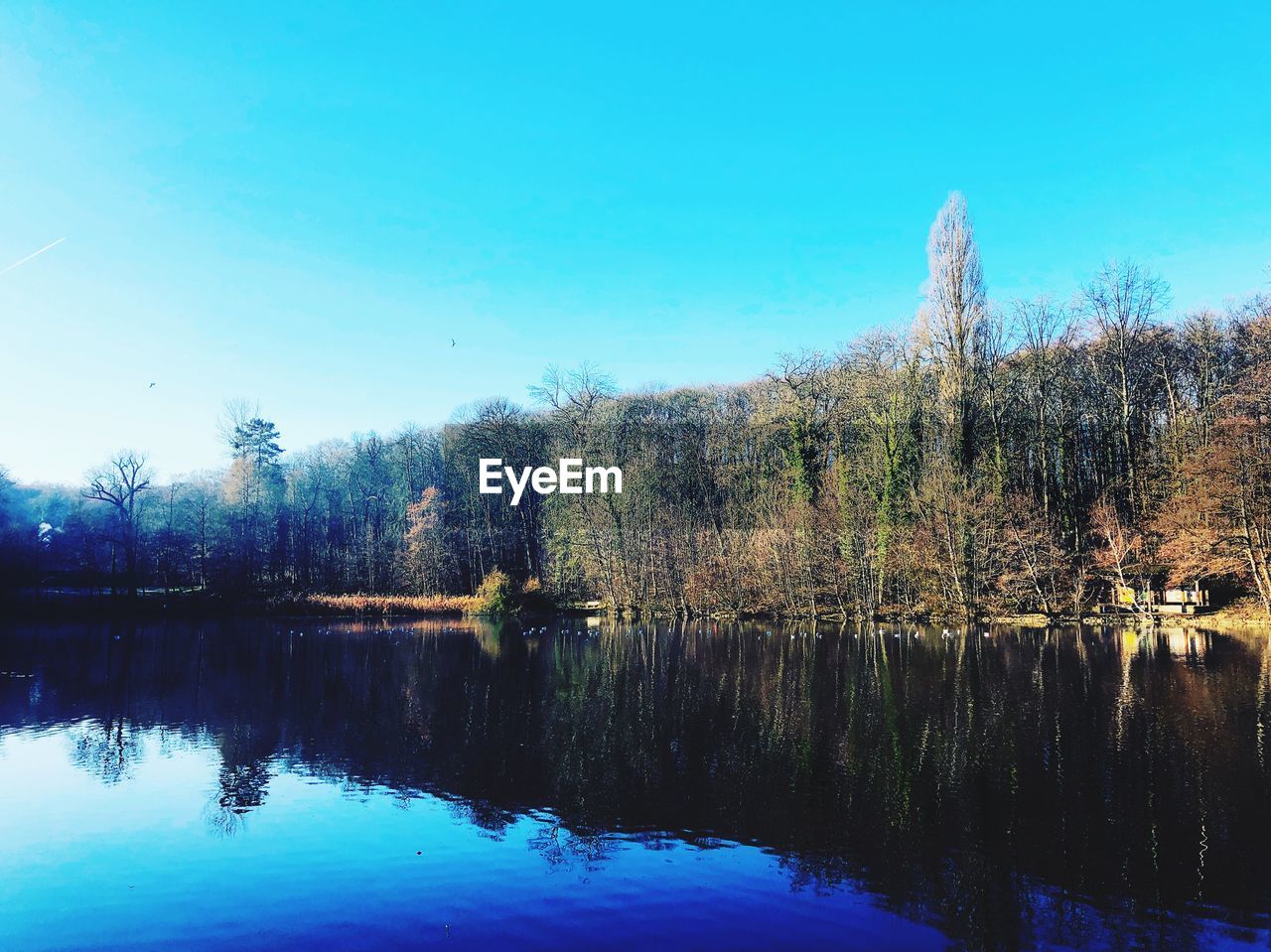 REFLECTION OF TREES IN LAKE AGAINST CLEAR BLUE SKY