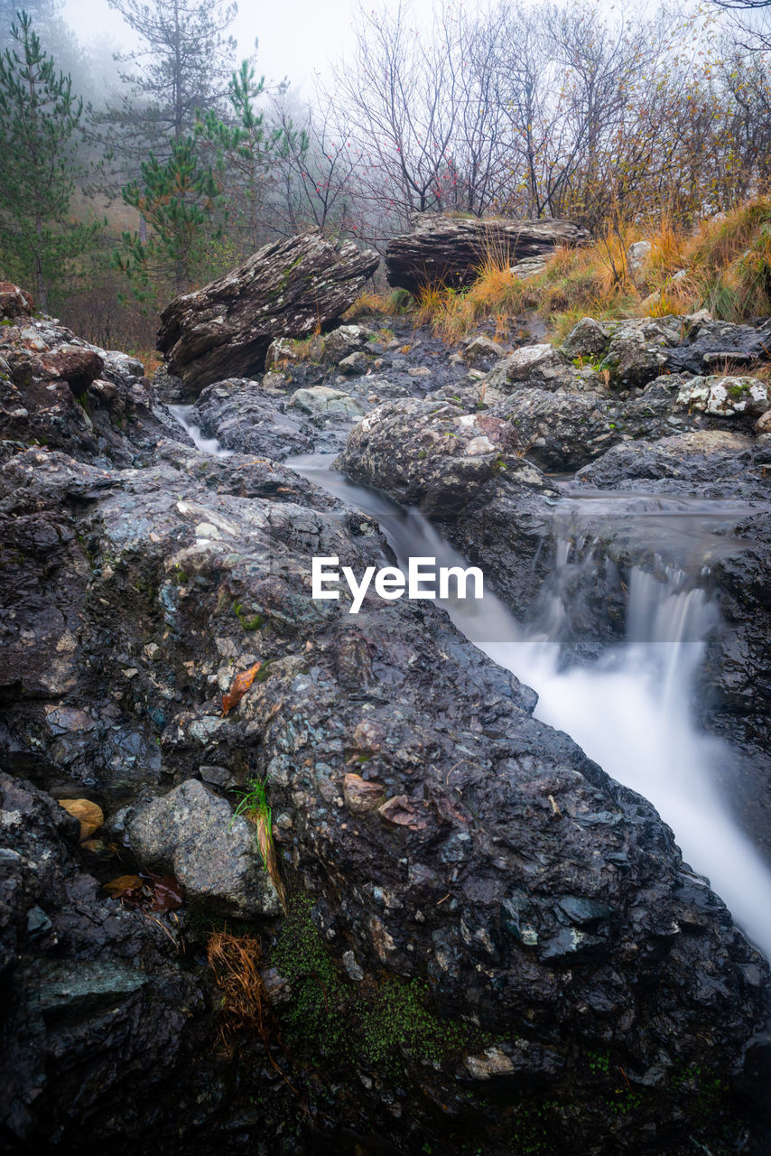 Stream flowing through rocks in forest