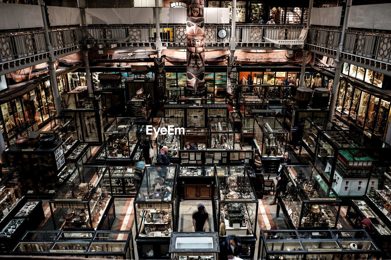 Exhibition in oxford university museum of natural history