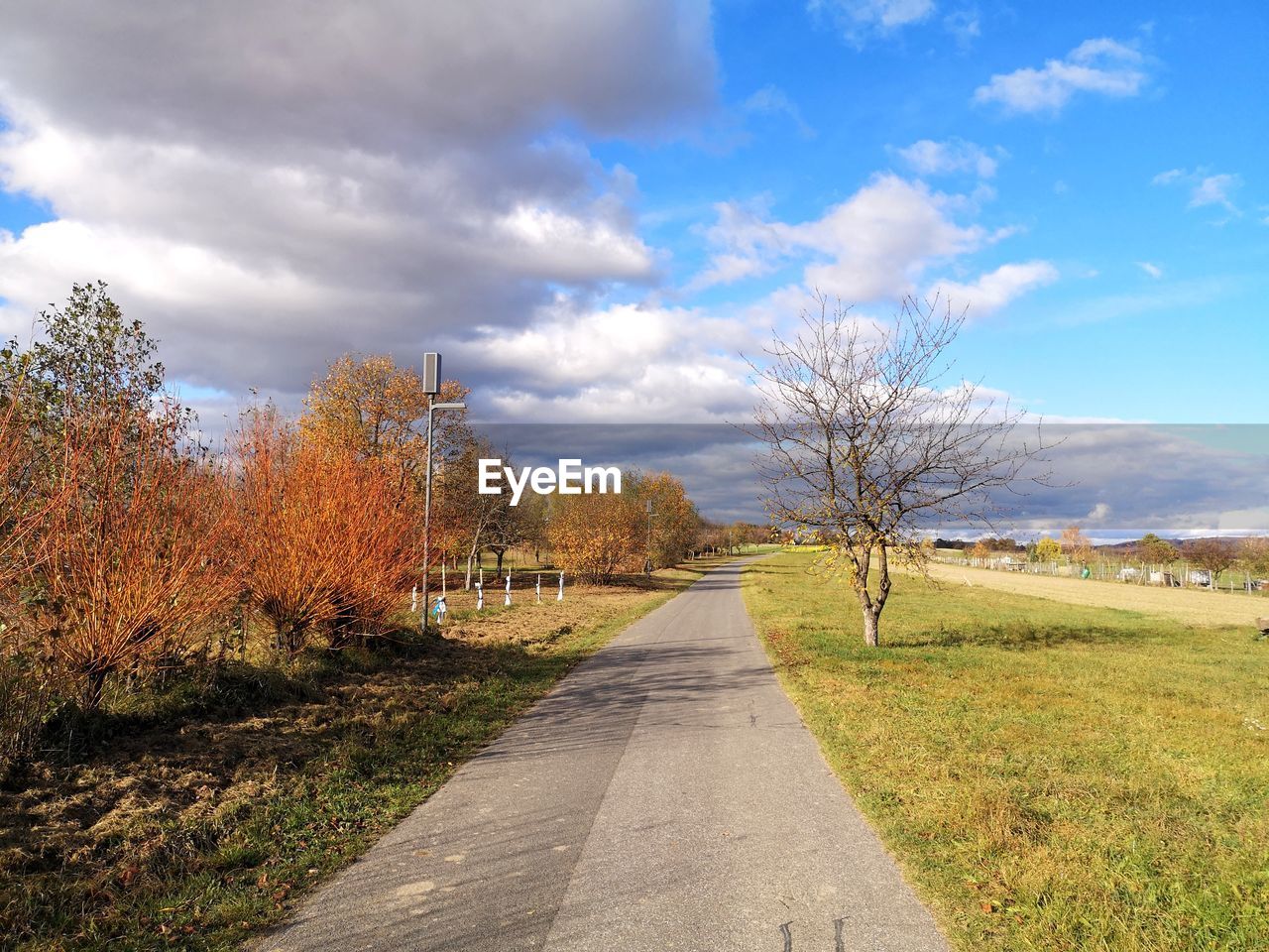 ROAD AMIDST TREES AND PLANTS ON FIELD AGAINST SKY