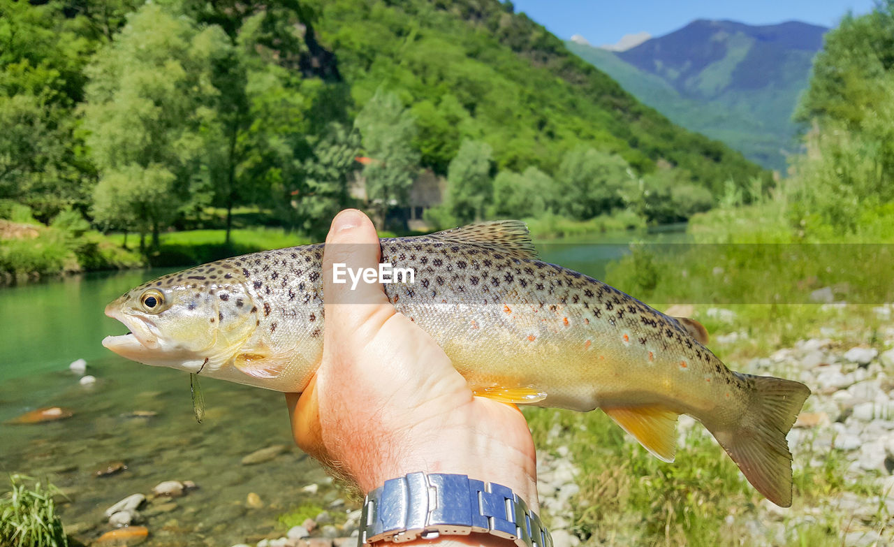 PERSON HOLDING FISH