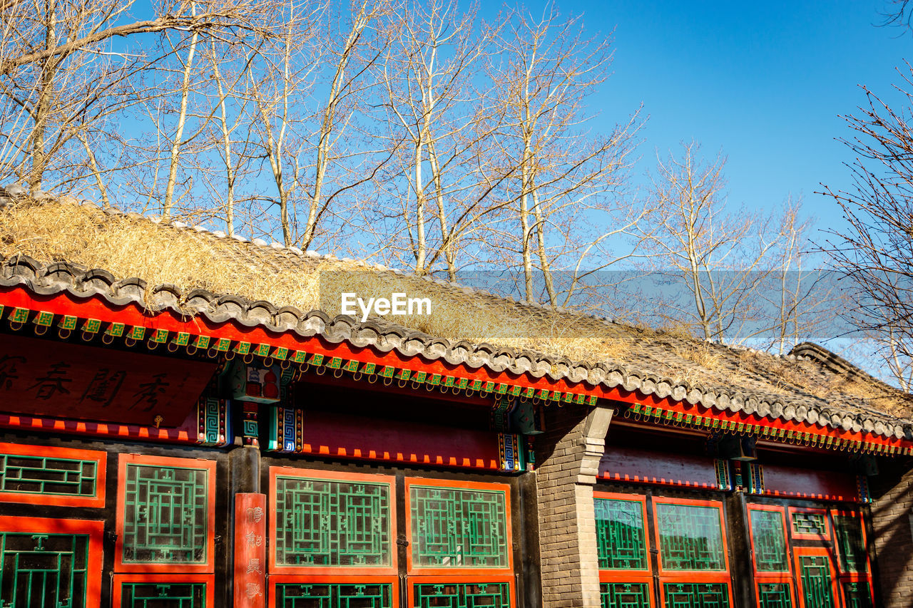 LOW ANGLE VIEW OF BUILDING WITH TREES AGAINST SKY