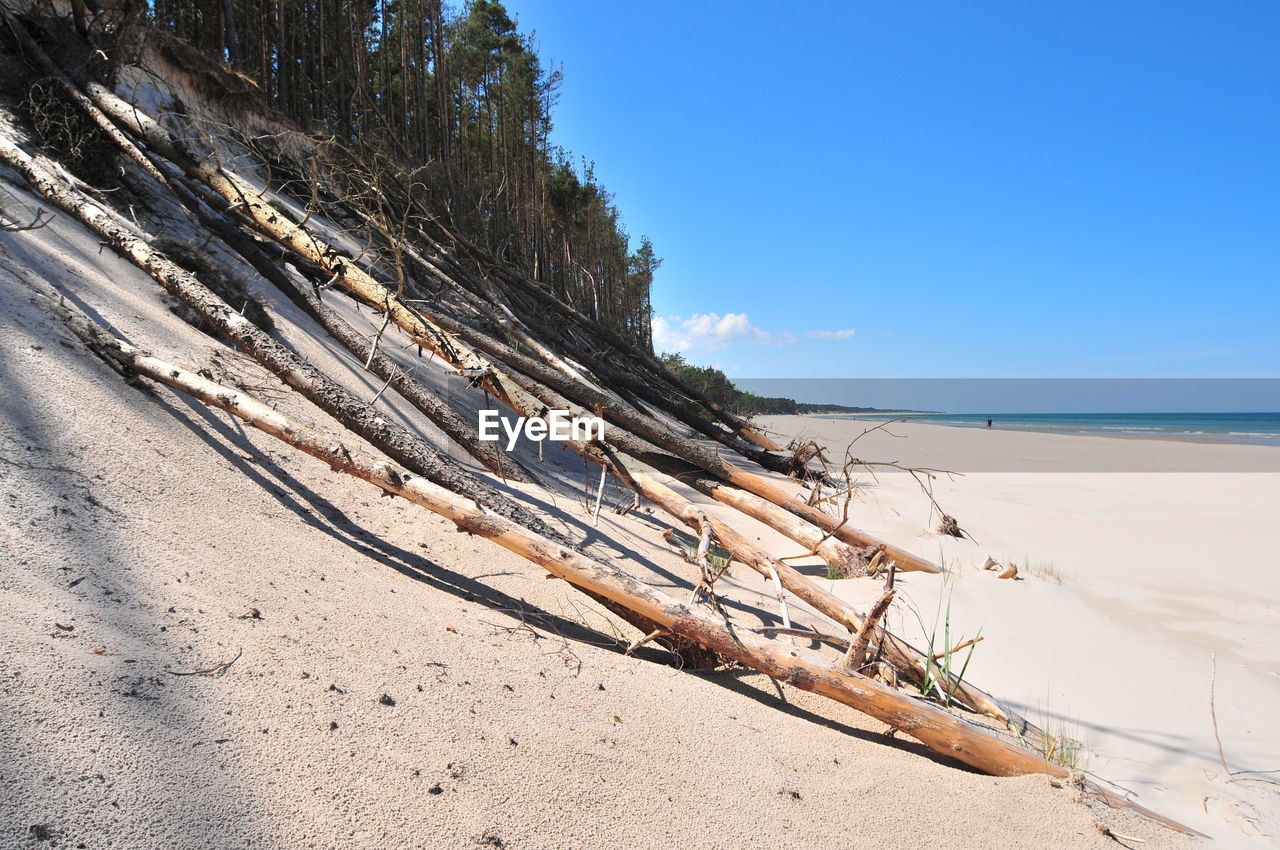 Driftwood on beach against sky