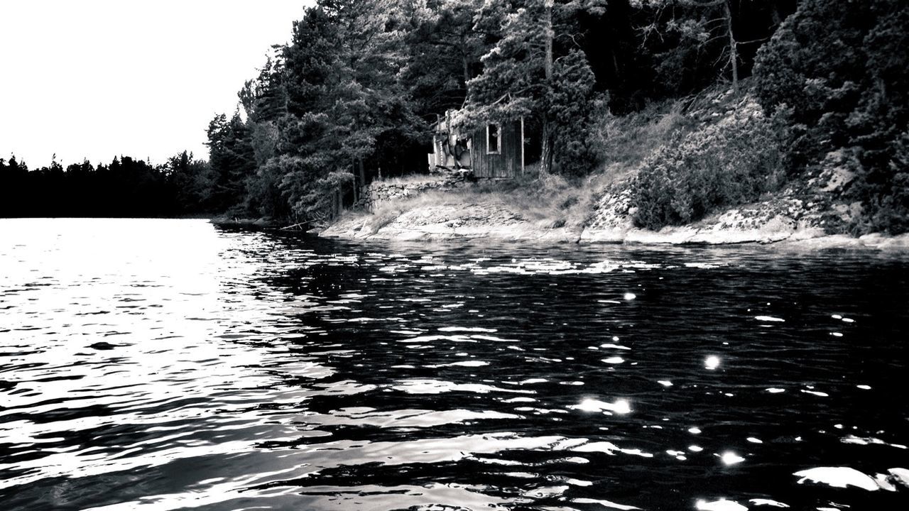 Abandoned house in forest by lake