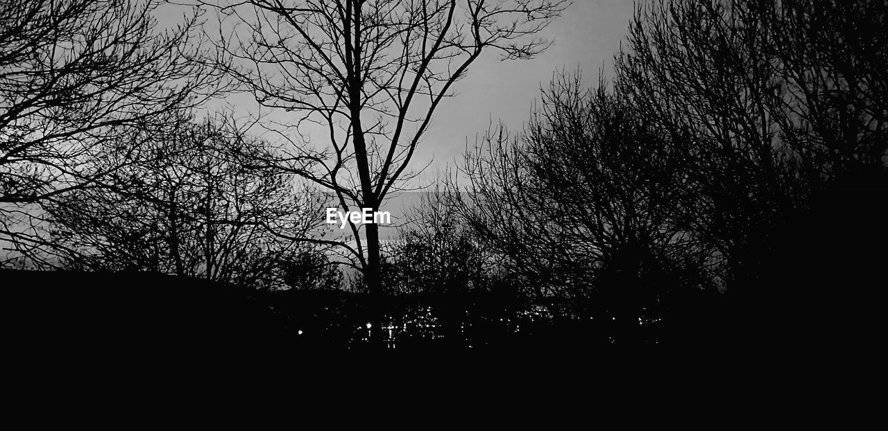 LOW ANGLE VIEW OF SILHOUETTE TREES AGAINST SKY