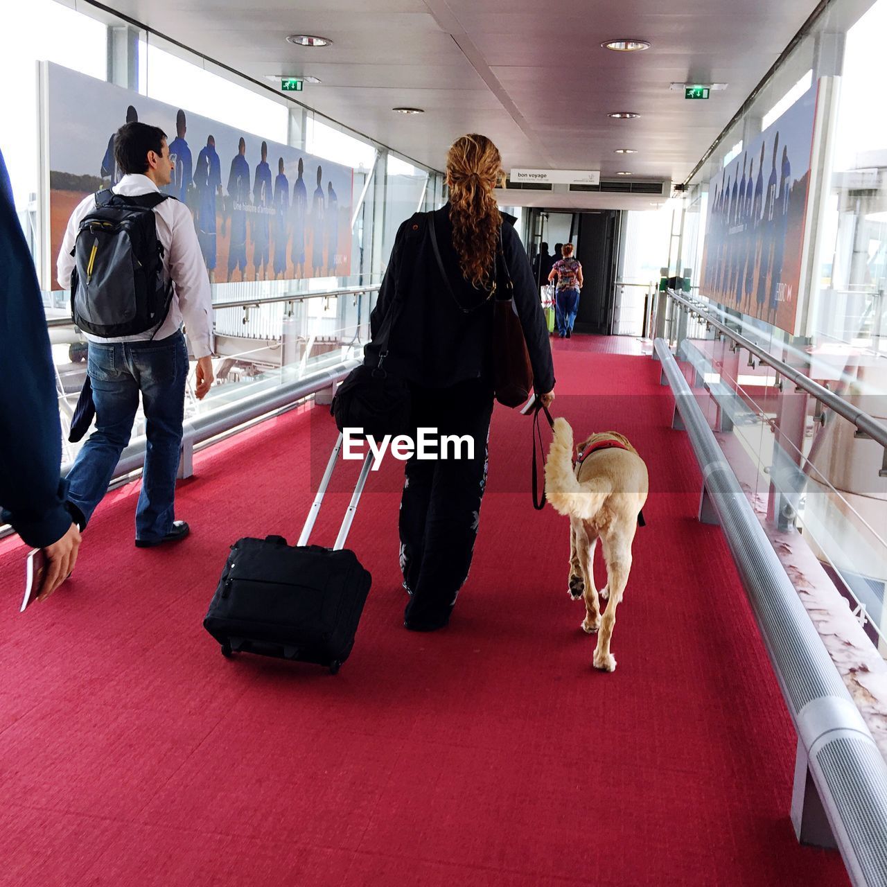 Rear view of people and dog walking at airport