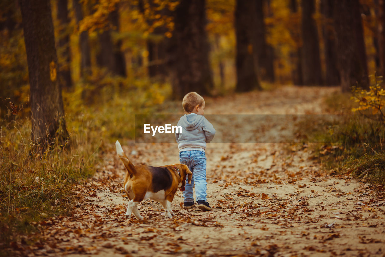 REAR VIEW OF WOMAN WALKING WITH DOG IN FOREST