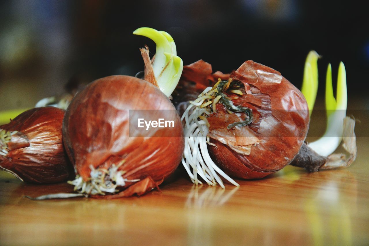 CLOSE-UP OF FRUITS AND VEGETABLES ON TABLE