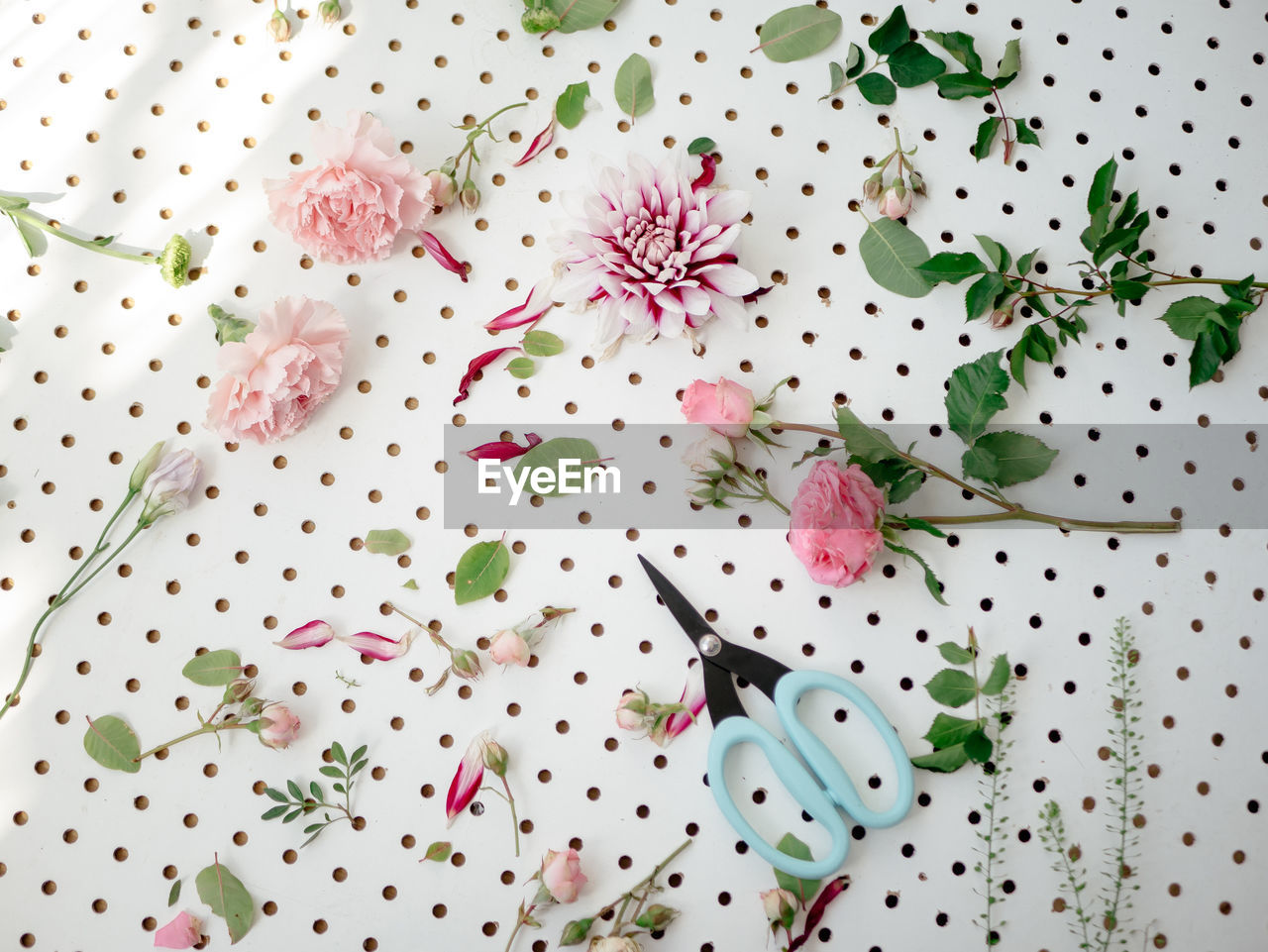 High angle view of pink petals ans scissors on white background