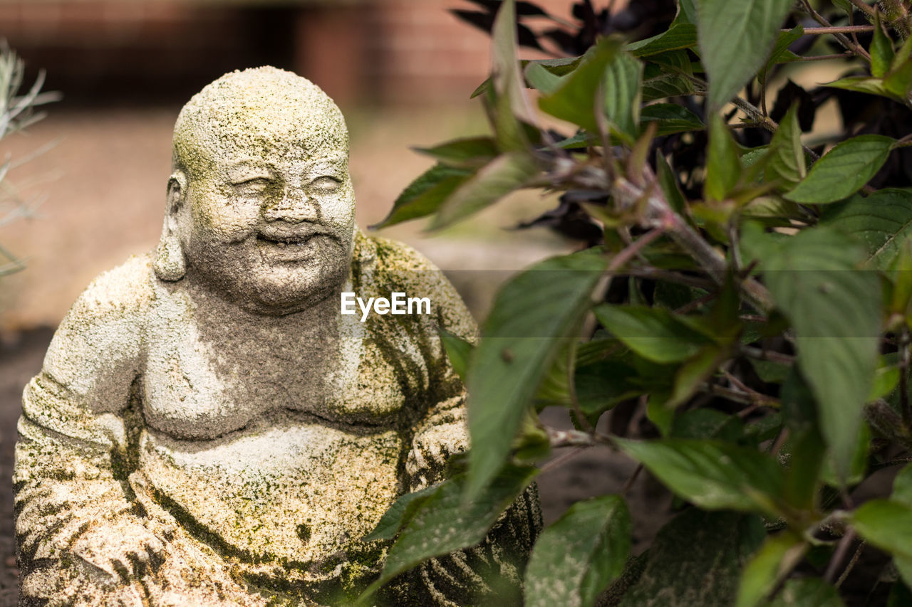 Close-up of weathered statue