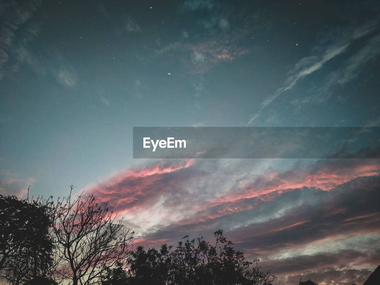 LOW ANGLE VIEW OF SILHOUETTE TREES AGAINST SKY