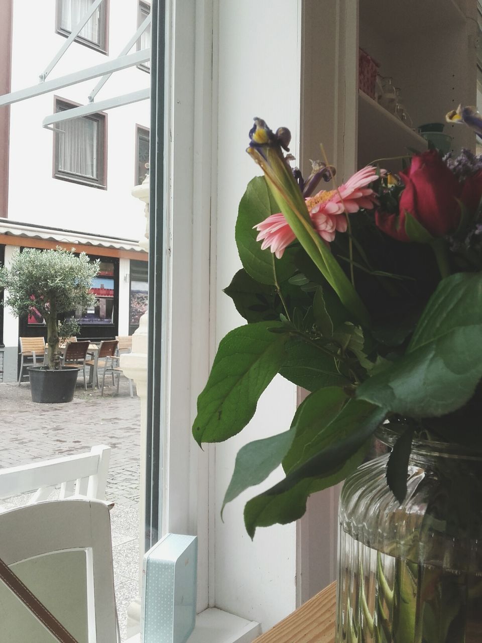 CLOSE-UP OF POTTED PLANT ON WINDOW