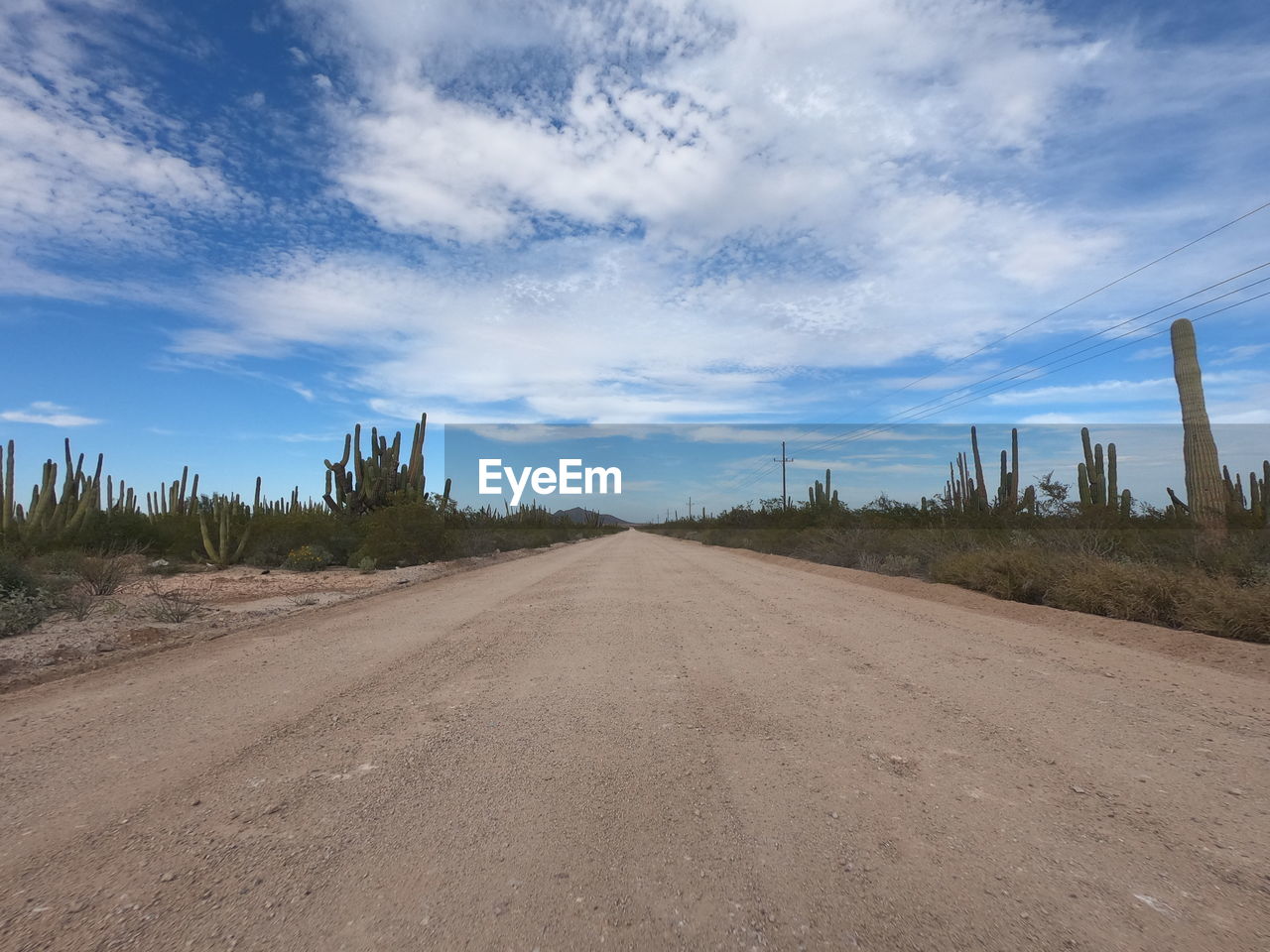 DIRT ROAD AMIDST PLANTS AND TREES AGAINST SKY