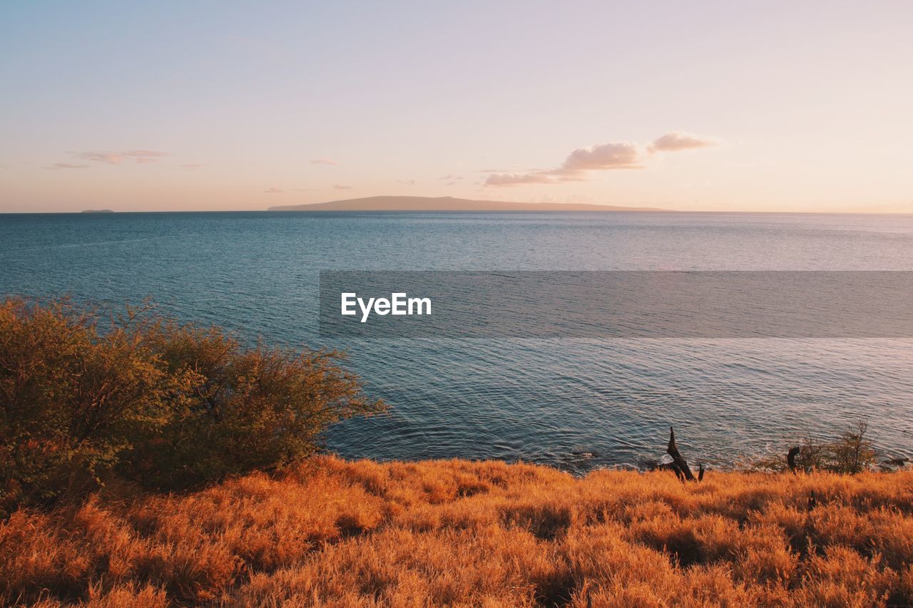 Scenic view of sea against sky during sunset