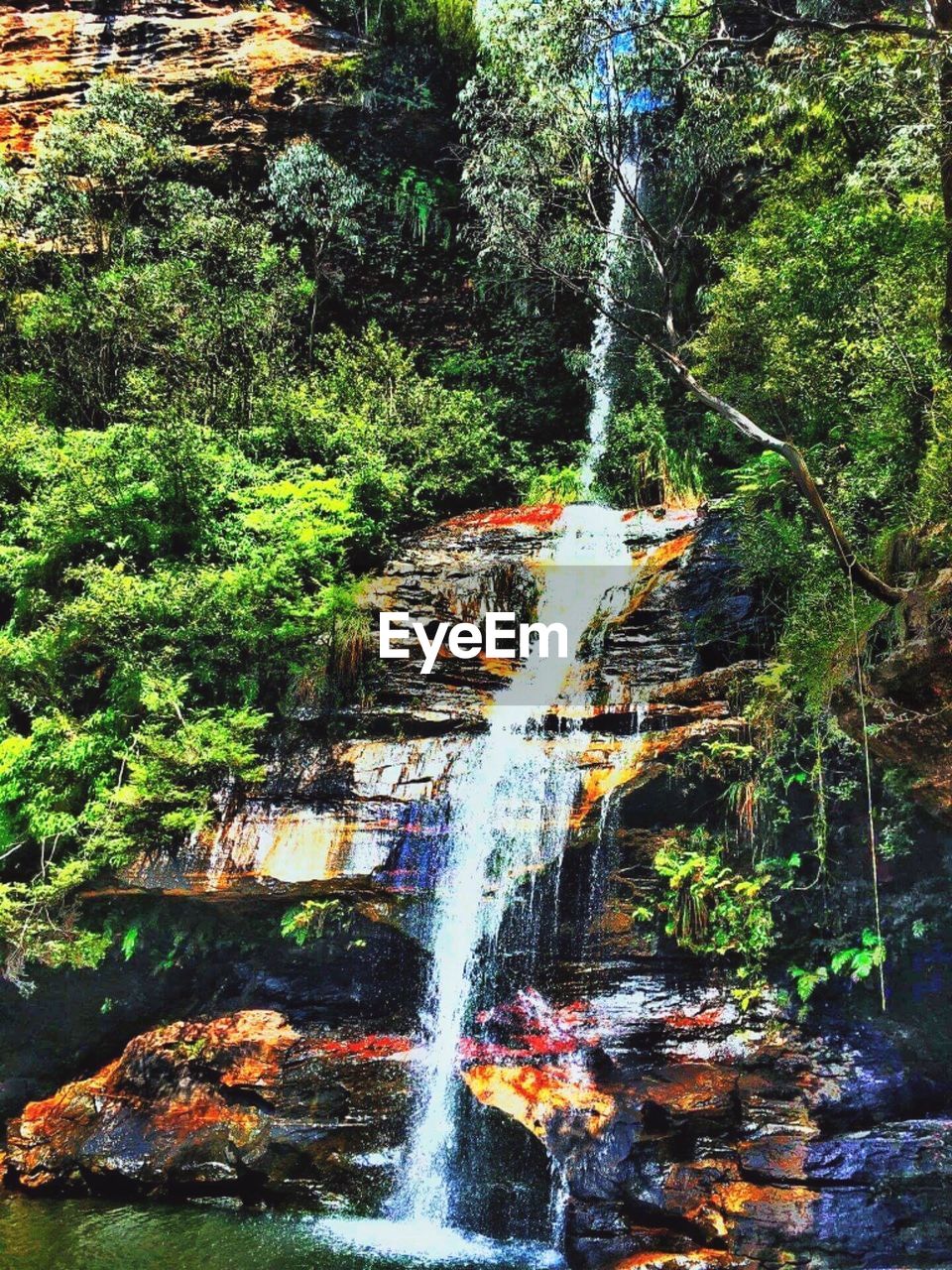 WATERFALL IN FOREST