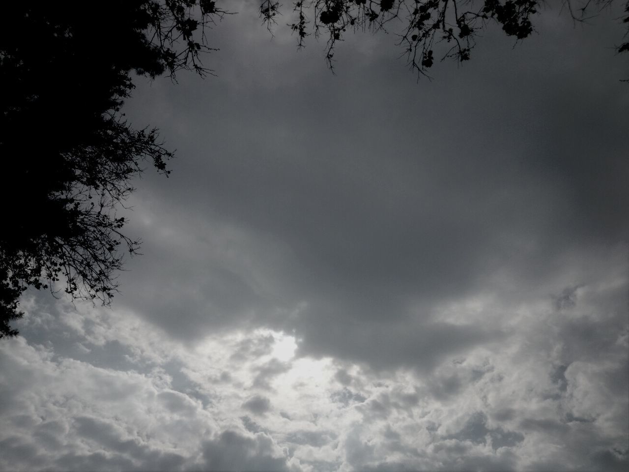 LOW ANGLE VIEW OF TREES AGAINST CLOUDY SKY